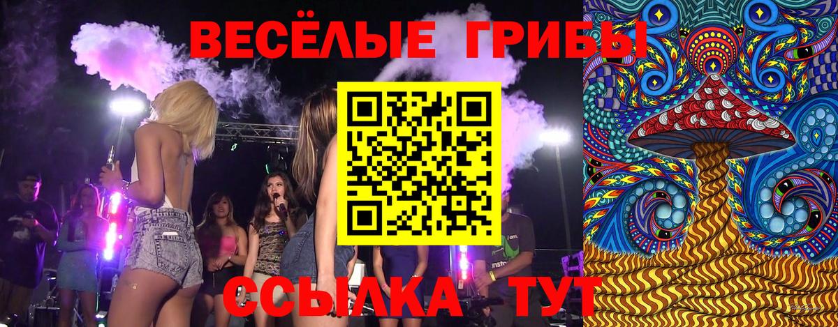 Псилоцибиновые грибы ЛСД  Вход с VPN  Шали 