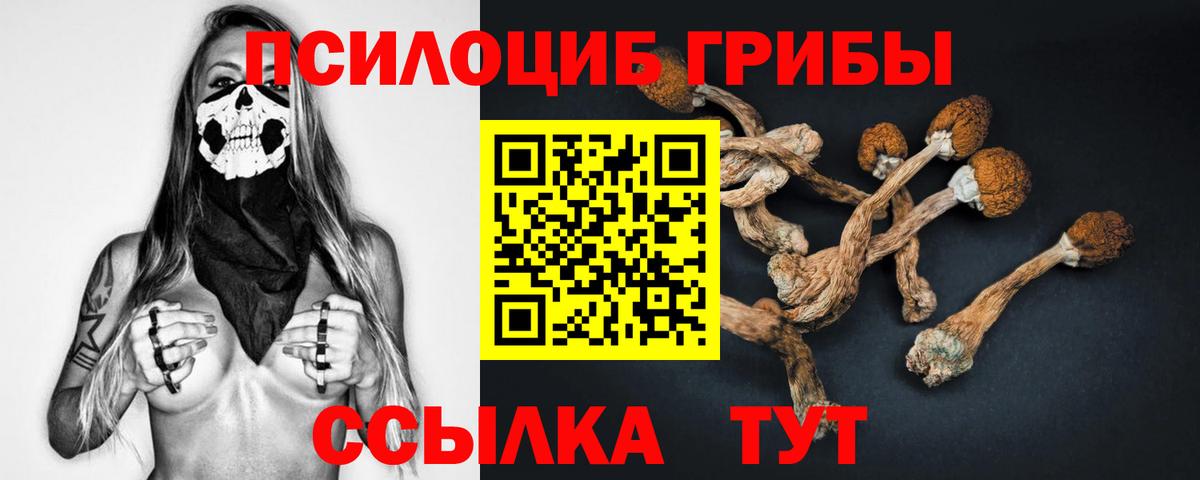 Галлюциногенные грибы ЛСД Шали